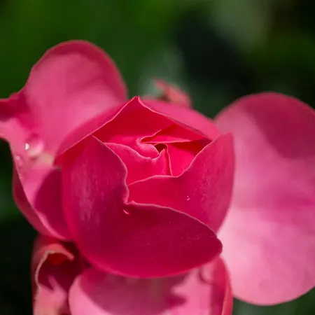 Apartament Seeluft *