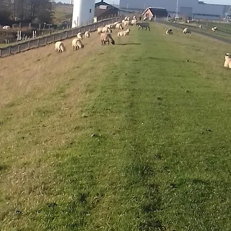 Seeluft דירה קושהאבן