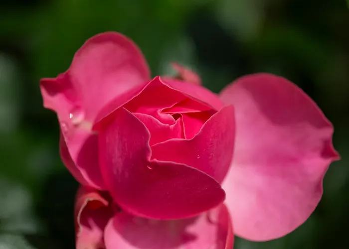 Апартаменты Seeluft *