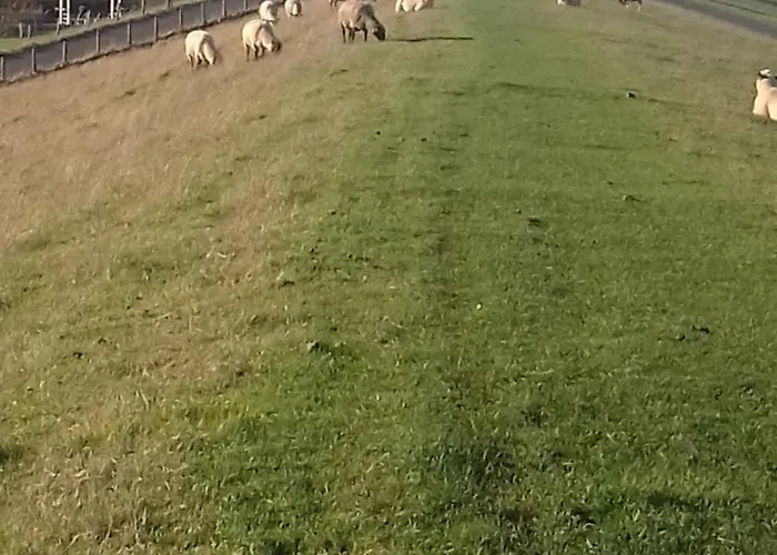 Seeluft Апартаменты Куксхафен